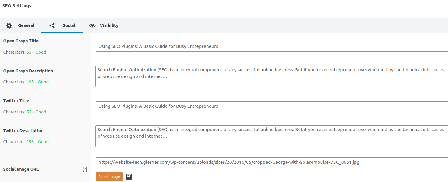 Using SEO Plugins: A Basic Guide for Busy Entrepreneurs